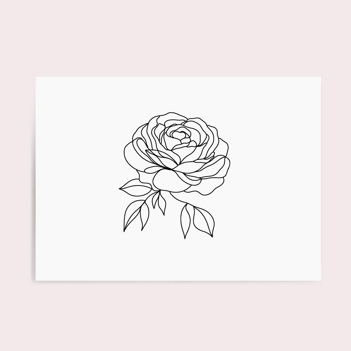 Set of Linear Rose Drawings, SVG, PNG, Botanical Floral Clipart, Rose ...