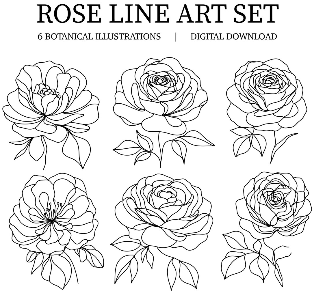Set of Linear Rose Drawings, SVG, PNG, Botanical Floral Clipart, Rose ...