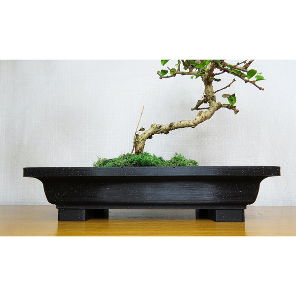 Bonsai Plant Pot / Any Plant Pot: 3D Printed