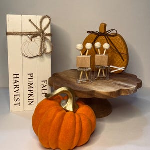Può includere: Una pila di blocchi di legno bianco con spago e una sagoma di zucca, etichettata FALL PUMPKIN HARVEST. Due piccoli diffusori per auto in vetro con tappi in legno, una zucca arancione testurizzata e una zucca arancione con stelo dorato su un piedistallo in legno.