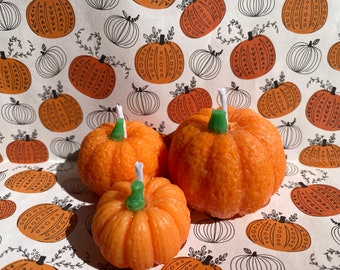 Little Pumpkin Patch