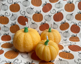 Little Pumpkin Patch
