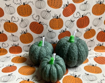 Little Pumpkin Patch