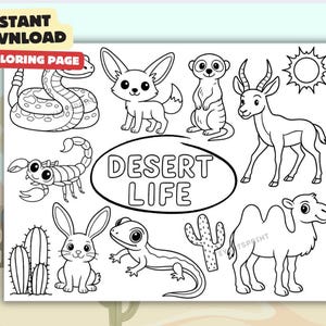 Desert Life Coloring Page – Cute Desert Animals Printable for Kids – PDF & JPG Instant Download
