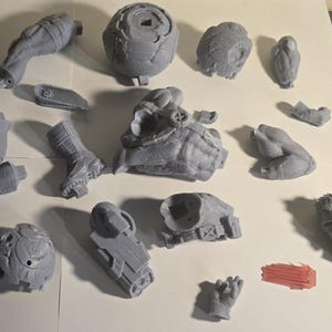 May include: A collection of gray 3D-printed model parts, including limbs, a head, and other components. The pieces are arranged on a white surface, showcasing various textures and shapes, suggesting a model kit or prototype.