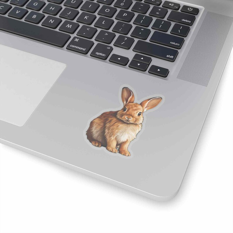 Dutch Rabbit Sticker Vinyl Laptop Sticker Decal - Etsy