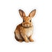 Dutch Rabbit Sticker Vinyl Laptop Sticker Decal - Etsy
