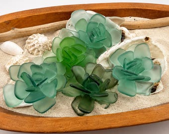 Sea Glass Succulent Art, Seacculent™ Coastal Decor, Rare Color Sea Glass, Seashell Art, The Seafoam Five 2026