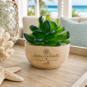 May include: A green succulent plant potted in a round, light-colored wooden bowl. The bowl features the text seacculents, a flower icon, a heart, the words SEA INSPIRED - NATURALLY FOUND, and the text BY THE SEA SXM printed on the front.