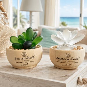 Puede incluir: Dos cuencos pequeños y redondos de madera clara rellenos de guijarros color canela. Un cuenco contiene hojas de vidrio verde oscuro liso y el otro hojas de vidrio blanco esmerilado. Ambos cuencos llevan el texto impreso seacculents.