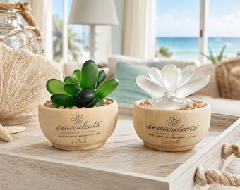 Seacculents™ Authentic Caribbean Sea Glass Succulent in Engraved Wooden Pot | Coastal Desk Decor | Beach House Gift | Genuine Sea Glass