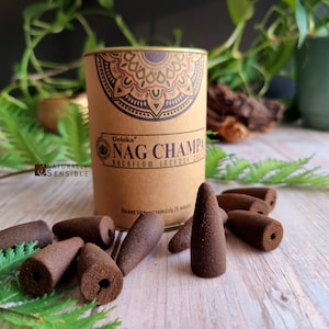 May include: A brown cardboard container of Goloka Nag Champa Backflow Incense Cones. The container has a mandala design on the front and the text "Goloka Nag Champa Backflow Incense Cones". There are several brown incense cones scattered around the container.