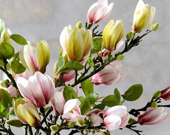 Artificial Magnolia Flower Branch , Home Wedding Decoration indoor, Artificial Flower, Flower Bouquet, Available in Pink & Green