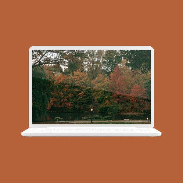 NYC Central Park Laptop and Desktop Wallpaper