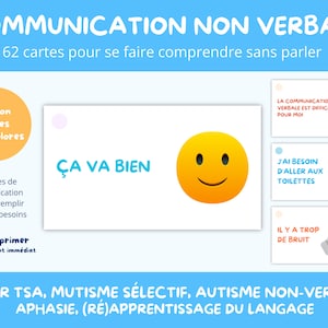PACK Communicatiekaarten voor autistische personen ASS Autisme selectief mutisme kind non-verbale afasie Printbare PDF Flash card Logopedist