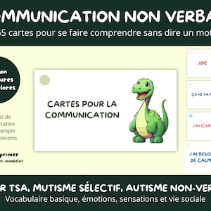 BUNDEL Communicatiekaarten autistisch persoon ASS Autisme selectief mutisme kind non-verbale afasie Afdrukbare PDF Flash-kaart Dinosaurus