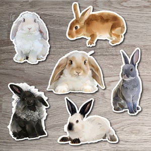 Lot d'autocollants Lapin, Lapin Rex beige ou gris, Lapin de Californie, Tête de lion noire, Lop des Pays-Bas | Cadeau pour les amoureux des lapins