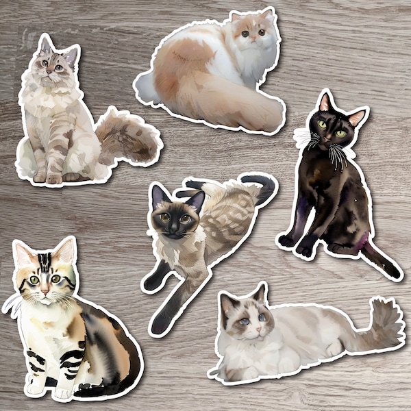 Watercolor Animal Pet Cats Sticker Bundle, American Shorthair, Bombay, Persian, Ragdoll, Siamese, Siberian Kitty | Gift for Cat Lovers