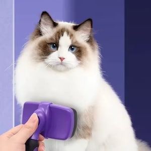 Pet Grooming Brush