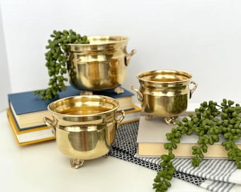 Vintage Brass Footed Bowl: MCM Handled Planter, Trinket Dish