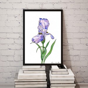 Watercolor Painting &quot;Iris Dreams&quot; Prints Unframed, Watercolor & Ink Art, Watercolor Wall Decor, Floral Art, Iris Art