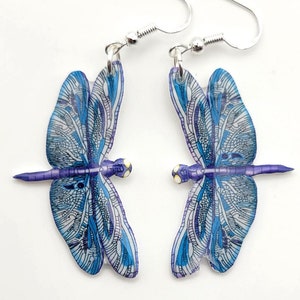 May include: A pair of silver dangle earrings featuring blue and purple dragonfly designs.