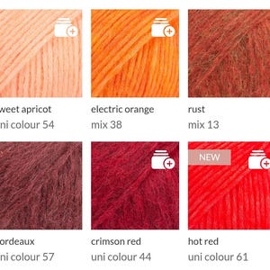 May include: A collection of six yarn skeins in various colors. Colors include sweet apricot, electric orange, rust, bordeaux, crimson red, and hot red. Each skein has a label with the color name and number. The "hot red" skein has a "NEW" label.
