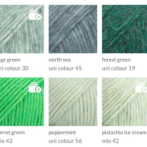 May include: A collection of six skeins of yarn in various shades of green and blue. Colors include sage green, north sea, forest green, parrot green, peppermint, and pistachio ice cream. Each skein is labeled with its color name and a unique identifier.