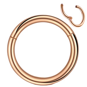 Anneau segmenté piercing hélix piercings acier chirurgical 316L segment de charnière universel pour septum, nez, lèvre, oreille différentes couleurs image 5