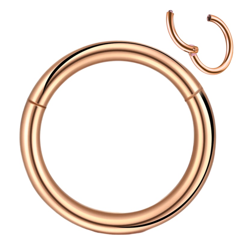 Segment ring piercing ring helix piercings 316L surgical steel Universal hinge segment for septum, nose, lip, ear various colors image 5