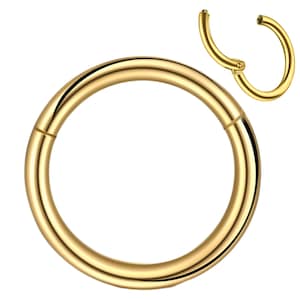 Segment ring piercing ring helix piercings 316L surgical steel Universal hinge segment for septum, nose, lip, ear various colors image 6