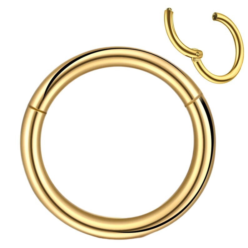 Anneau segmenté piercing hélix piercings acier chirurgical 316L segment de charnière universel pour septum, nez, lèvre, oreille différentes couleurs image 6