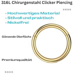 Piercing Clicker Hoop Piercing Clicker Nasenpiercing helix piercing Universal Ohr Scharnier Segment Septum Nase Lippe Ohr Intim Bild 3