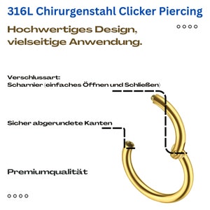 Clicker Hoop Piercing Clicker Nasenpiercing helix piercing Universal Ohr Scharnier Segment Septum Nase Lippe Ohr Intim Bild 2