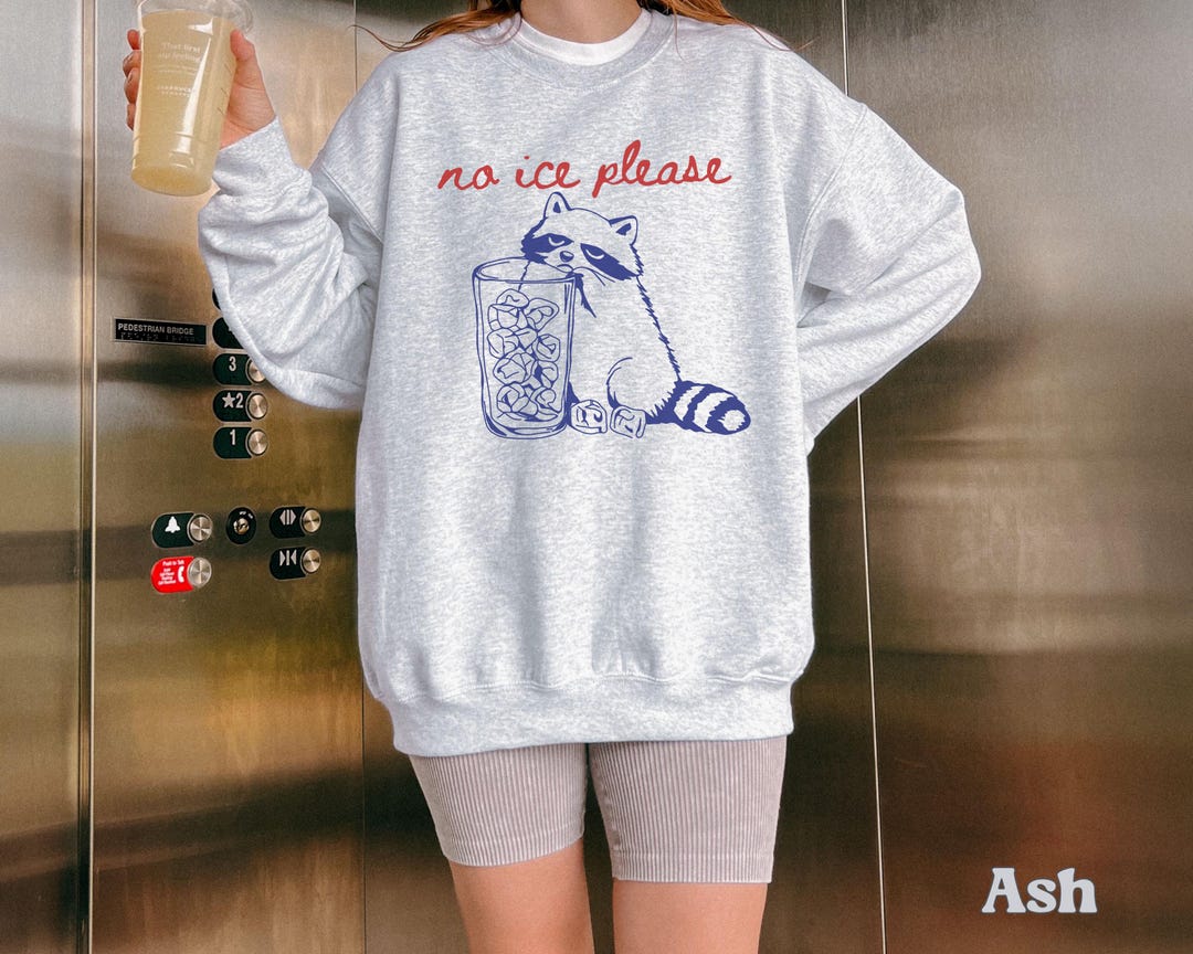 No ICE Please Raccoon Sweatshirt Ice Out Protest Shirt, Abolish ICE ...