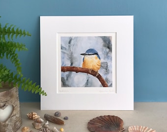 Nuthatch Bird Art Watercolour Print