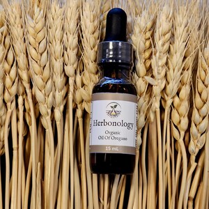 Organic Oil of Oregano