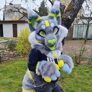 Fursuit partiellement préfabriqué pour chat image 1