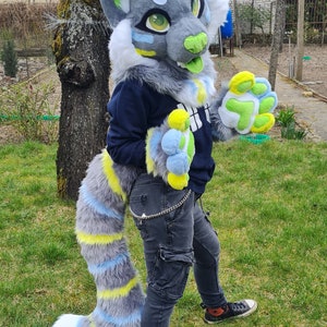 Fursuit partiellement préfabriqué pour chat image 7