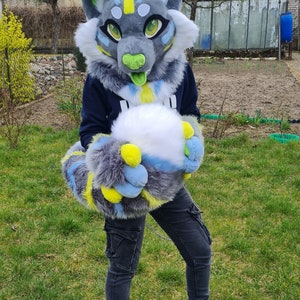 Fursuit partiellement préfabriqué pour chat image 9