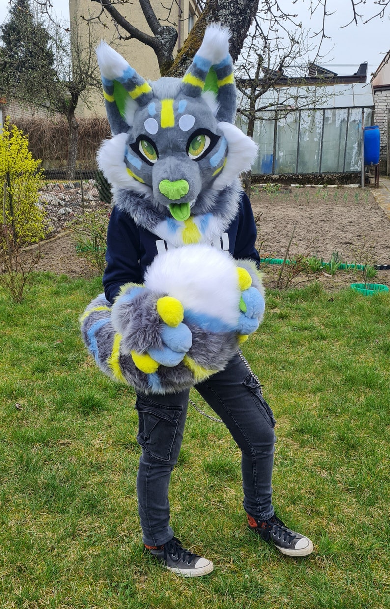 Fursuit partiellement préfabriqué pour chat image 9