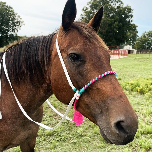 Leather & Muletape loping hackamore