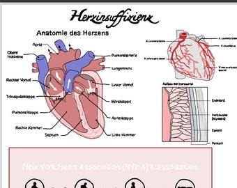 Learning sheet care - heart failure