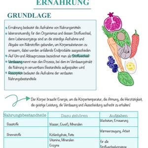 Könnte beinhalten: Eine Tabelle mit dem Titel "Ernährung" mit einer bunten Illustration verschiedener Früchte und Gemüse. Die Tabelle listet verschiedene Nahrungsbestandteile auf, wie Baustoffe, Brennstoffe, Wirkstoffe und Ballaststoffe, sowie deren entsprechende Funktionen im Körper.