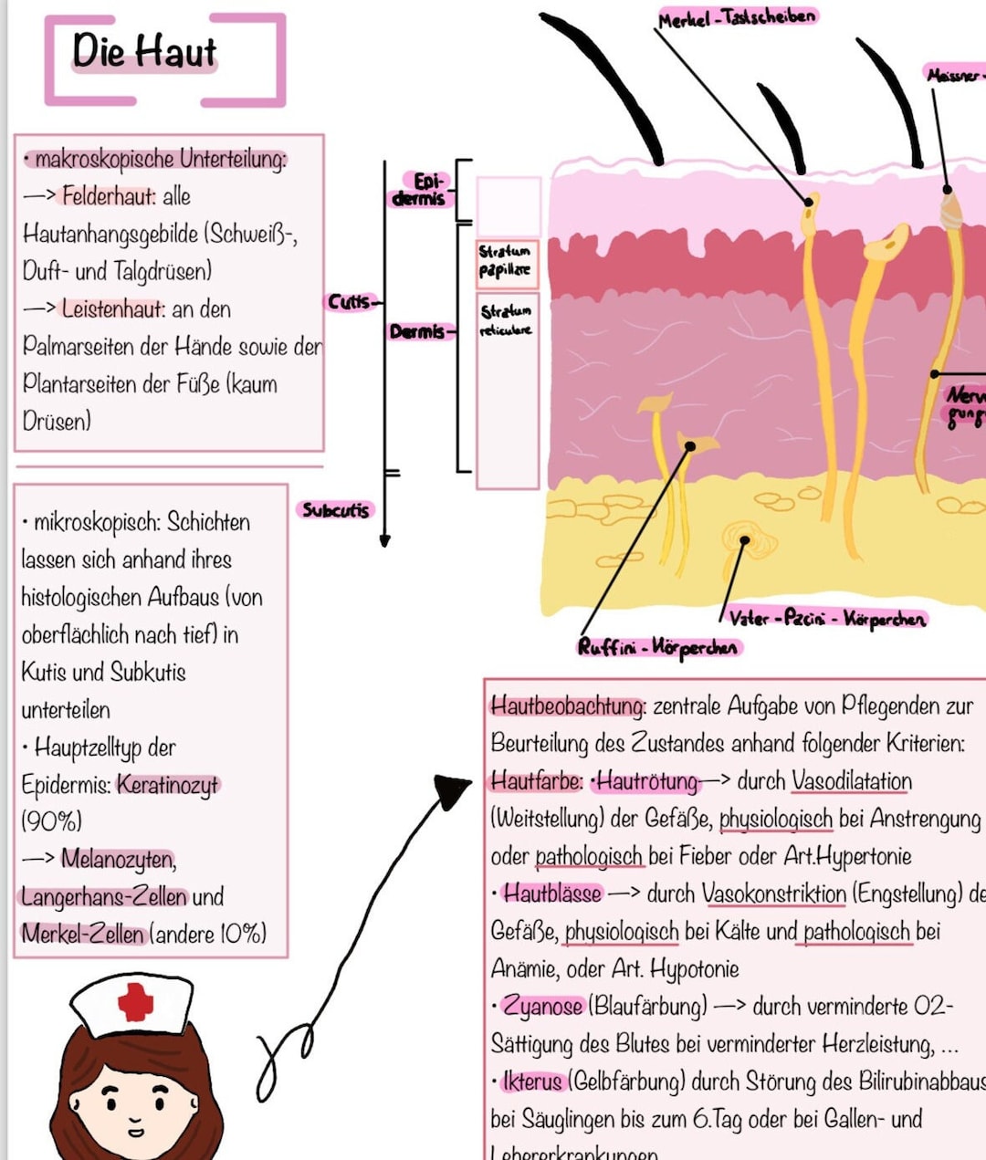 Learning Sheet Care (skin) - Etsy