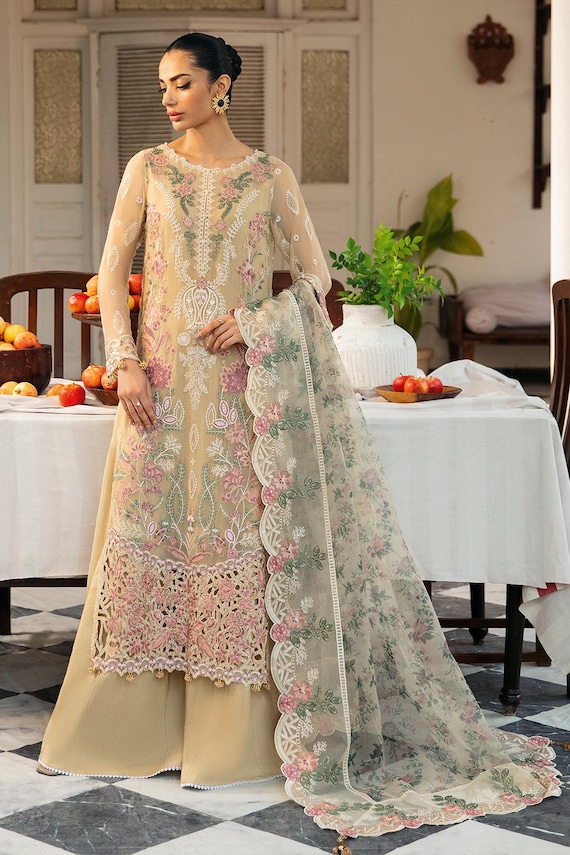 Frock Suit Net Design Salwar Suit White Net Embroidered Punjabi Patiala Salwar Suit CNP Associates LLC Frock Suit Net Design Salwar Suit White Net Embroidered Punjabi Patiala Salwar Suit CNP Associates LLC