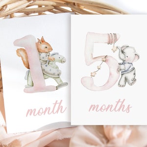 Cartes bébé étape importante | Cartes d'étape | Animaux à l'aquarelle | Cadeau bébé | Nouvelle maman | Baby Shower | Cartes bébé mois | Souvenirs |  Petite fille