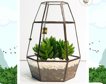 Geometrisches Glasterrarium „Pollux“ mit idealen Abmessungen, geeignet für alle Pflanzenarten • für Hochzeiten • für den Indoor-Gartenbau.