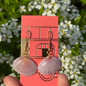 Hand made shell earrings