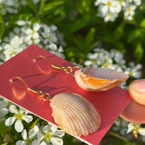 Hand made Shell earrings